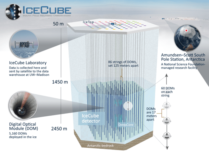 icecube_detector_sm